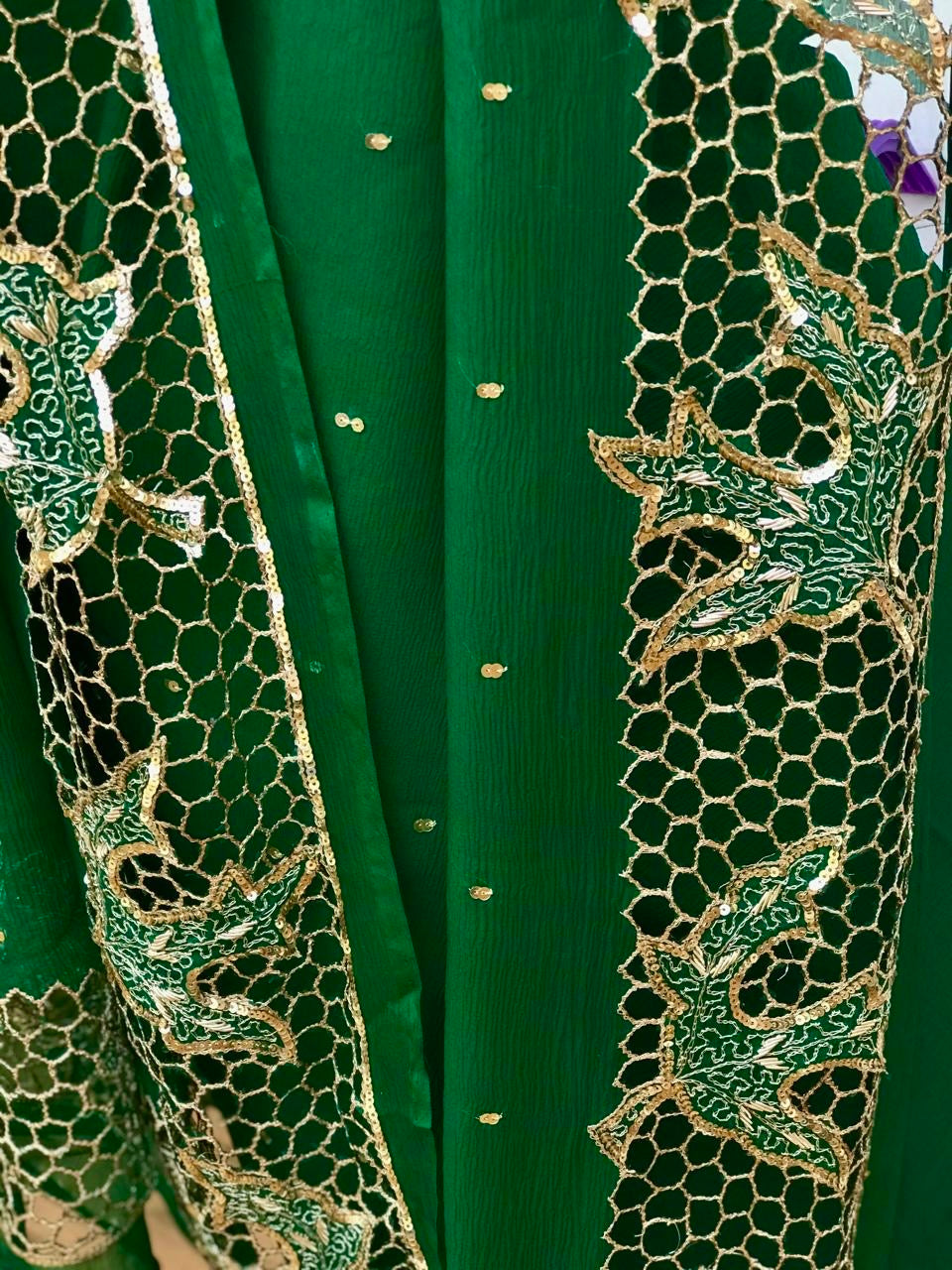 Green Cutwork Border saree