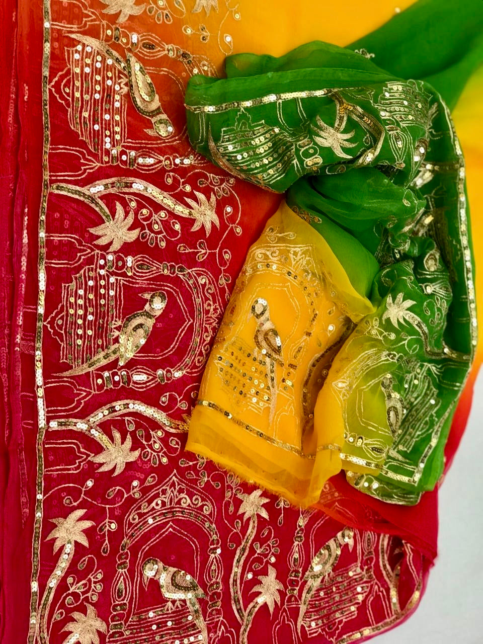 Ombre shaded Bird Border saree