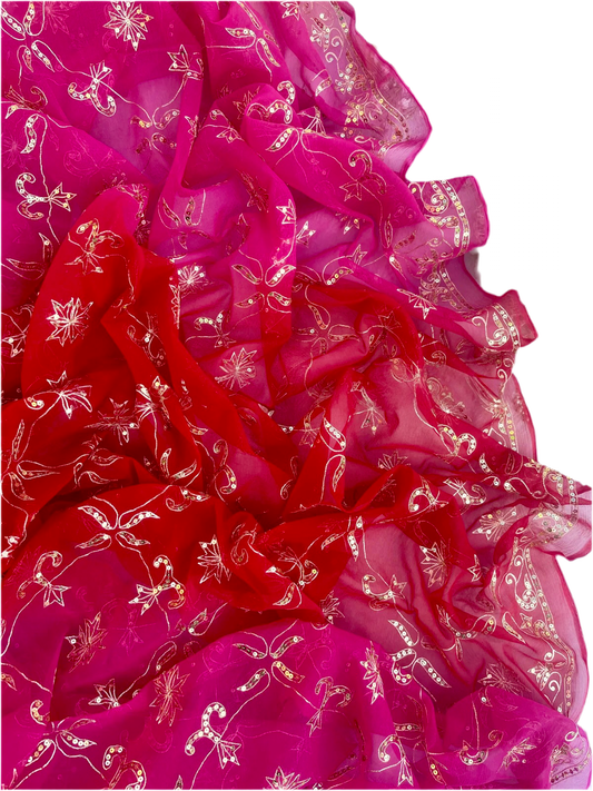 Red Rani Mughal Jharokha Jaal saree