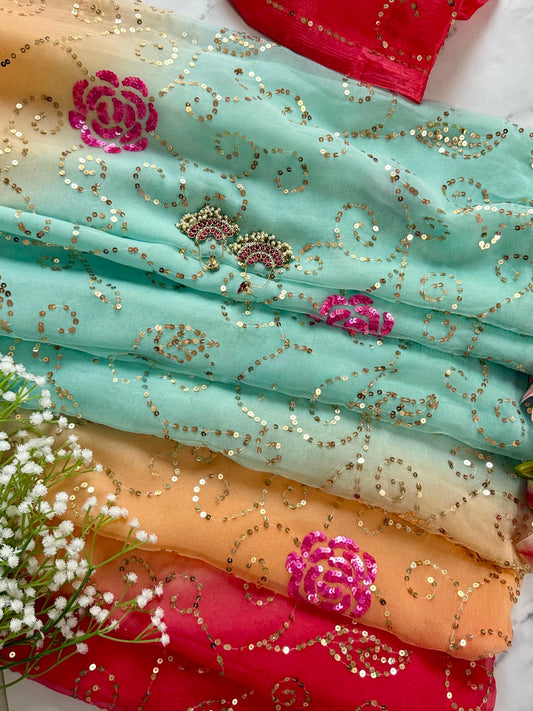 Multicoloured sequins Jaal saree