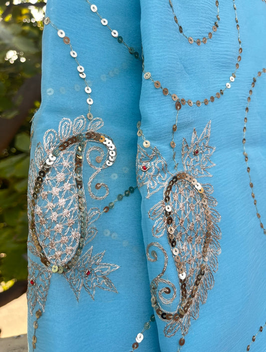 Sky Blue Aari Sequins Jaal Miraya Chiffon Sarees