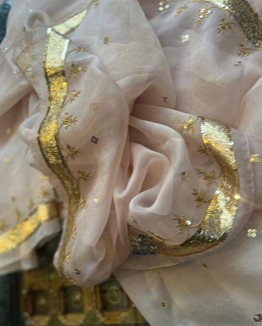 Pure silk organza border saree