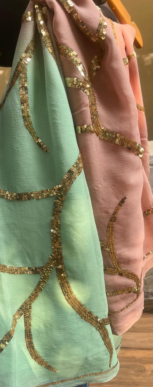 Ombre Powder Blue Shaded Sequins Jaal Saree