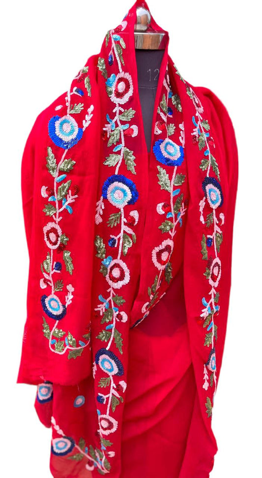 Red Sequins Border Saree