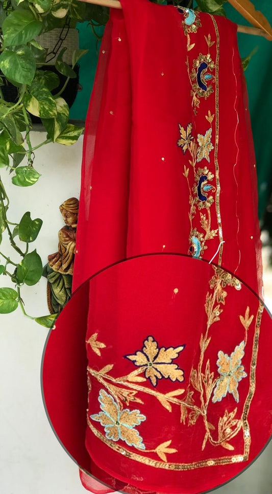 Red Zari Resham sequins Border saree