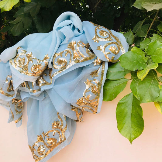 Aqua golden sequins Border saree