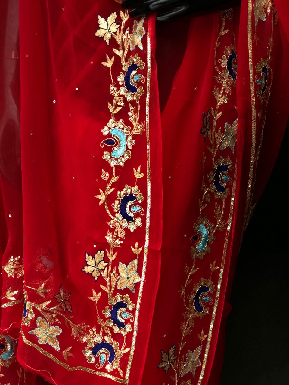 Red Zari Resham sequins Border saree