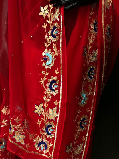 Red Zari Resham sequins Border saree