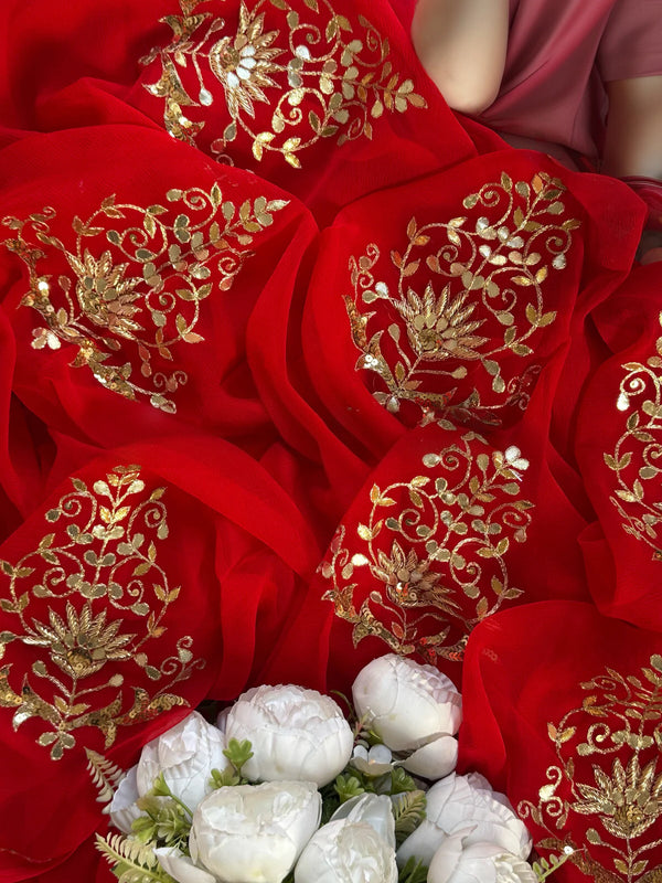 Raanjha chiffon saree