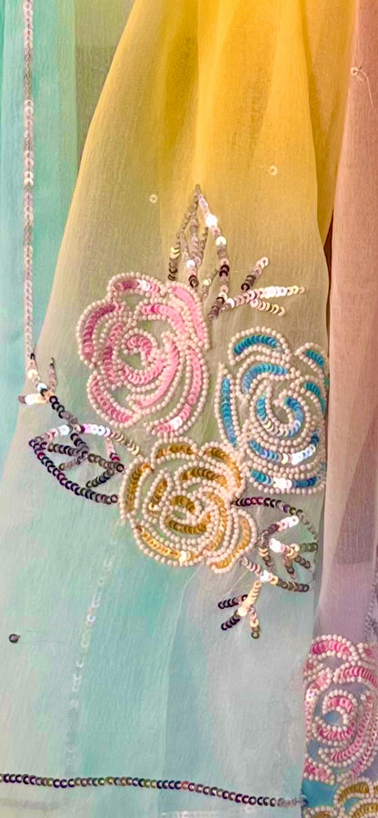 Ombre multicoloured pearl sequins Buta saree