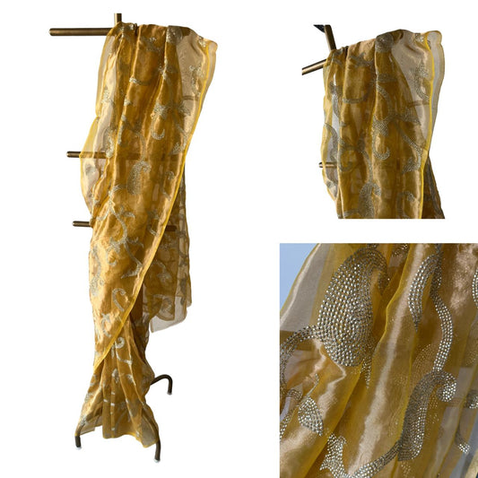 Silk Tissue Golden Sequins Jaal Saree