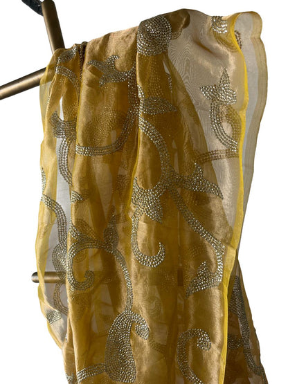 Silk Tissue Golden Sequins Jaal Saree