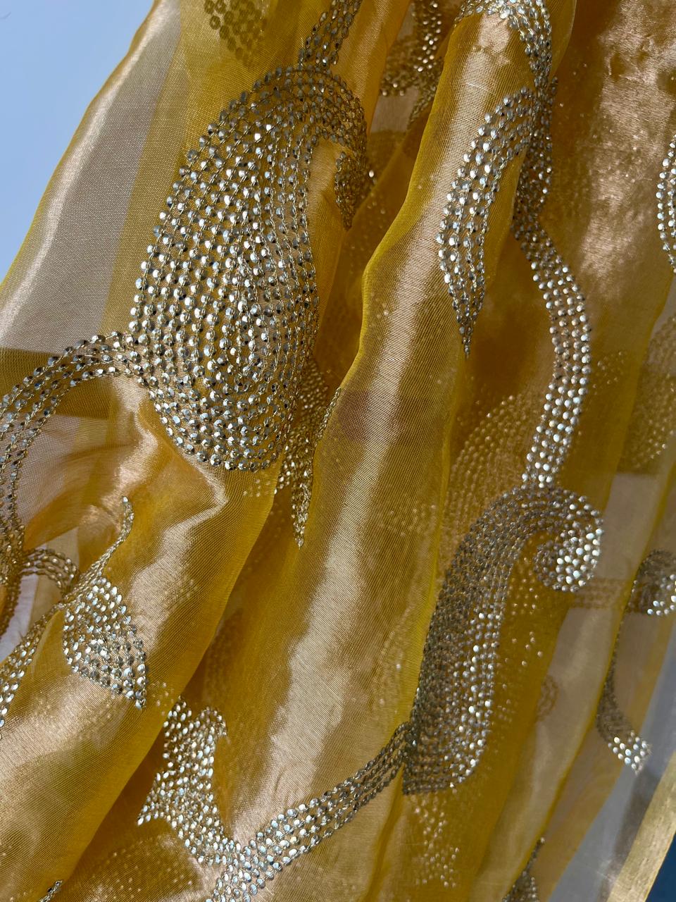 Silk Tissue Golden Sequins Jaal Saree