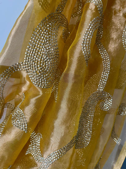 Silk Tissue Golden Sequins Jaal Saree