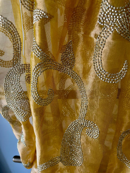 Silk Tissue Golden Sequins Jaal Saree