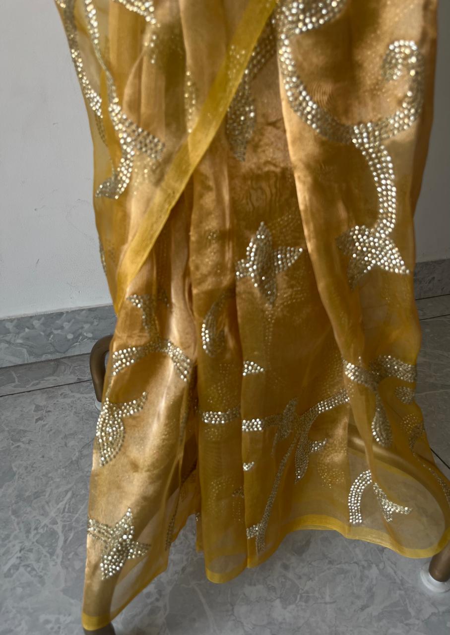 Silk Tissue Golden Sequins Jaal Saree