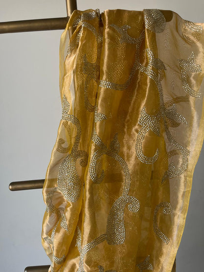 Silk Tissue Golden Sequins Jaal Saree