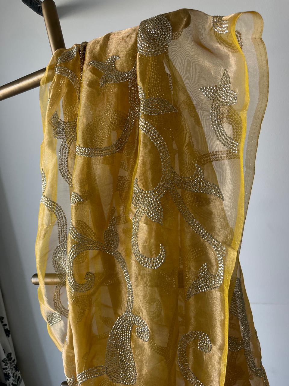 Pure silk organza border saree