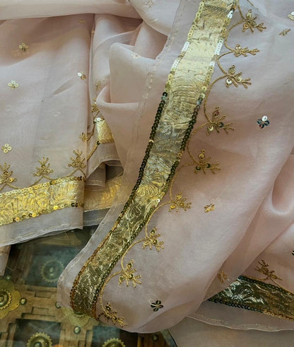 Pure silk organza border saree