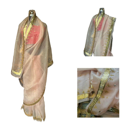 Pure silk organza border saree