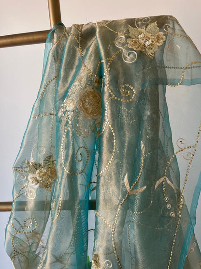 Sky-blue Pure Silk Tissue Zari Zardoji Jaal Saree