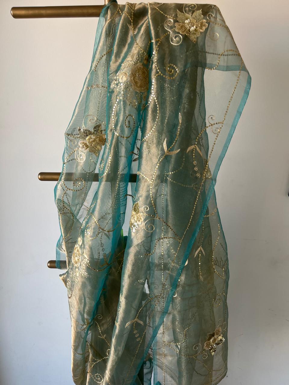 Sky-blue Pure Silk Tissue Zari Zardoji Jaal Saree