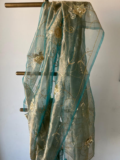 Sky-blue Pure Silk Tissue Zari Zardoji Jaal Saree