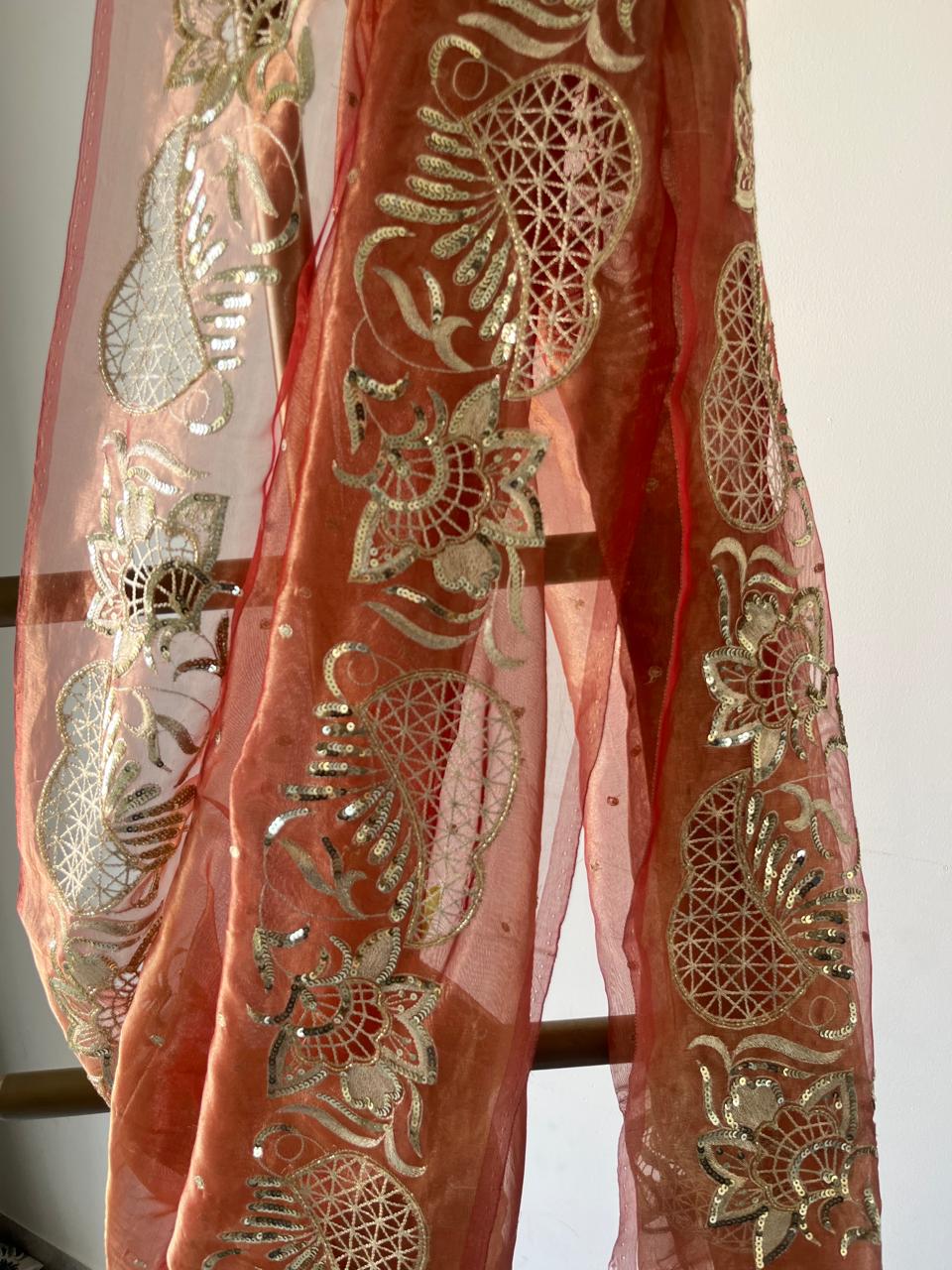 Silk Tissue Cutwork Border Saree