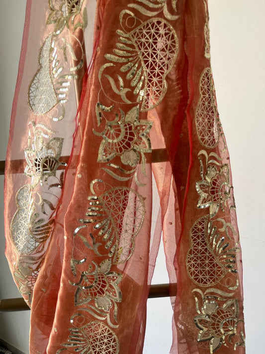 Silk Tissue Cutwork Border Saree