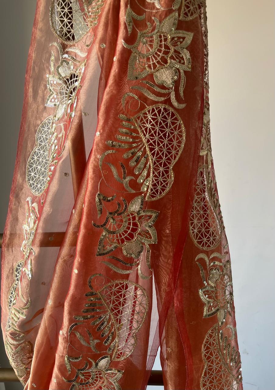 Silk Tissue Cutwork Border Saree