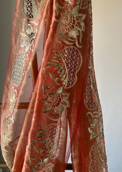 Silk Tissue Cutwork Border Saree