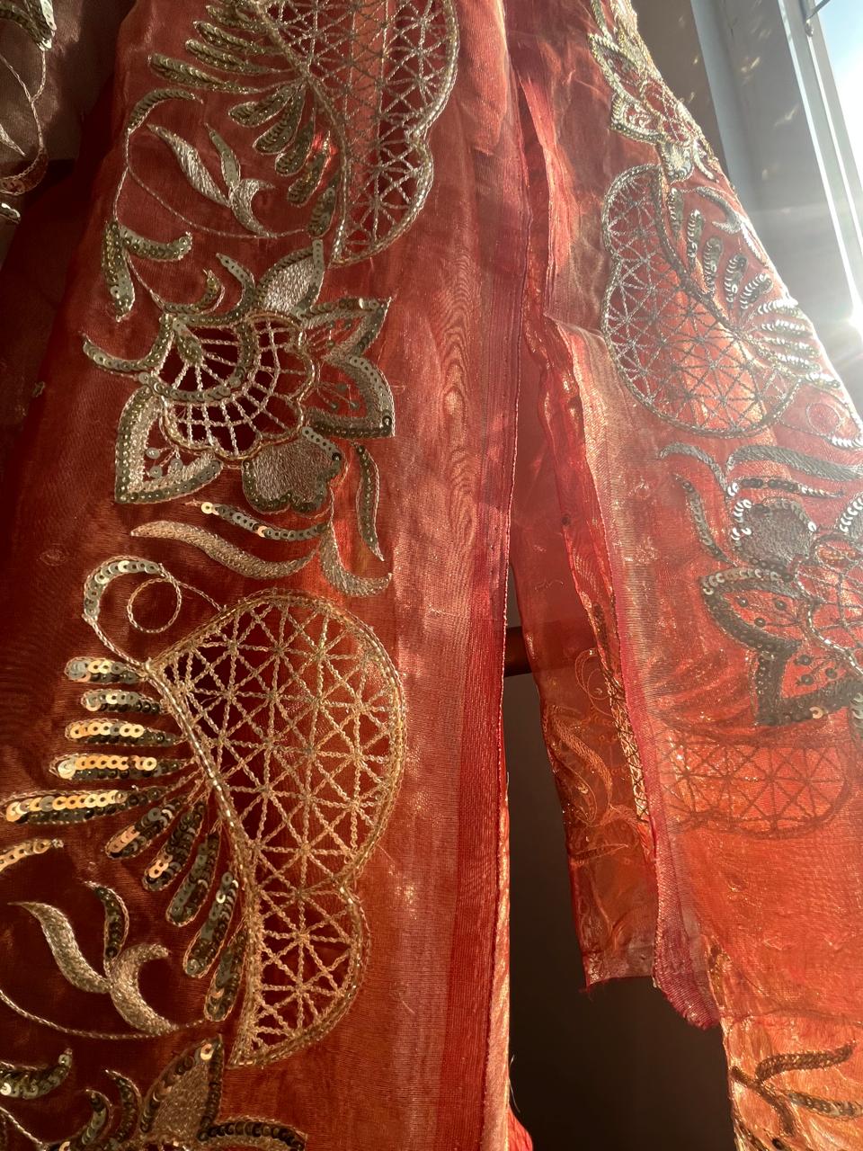 Silk Tissue Cutwork Border Saree