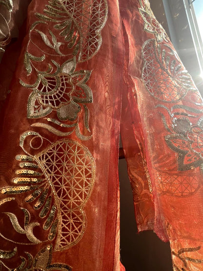Silk Tissue Cutwork Border Saree