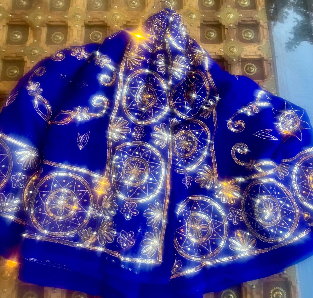 Blue Zari Sequence Jaal Saree