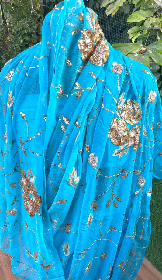Sky-Blue Shaded Jaal Saree