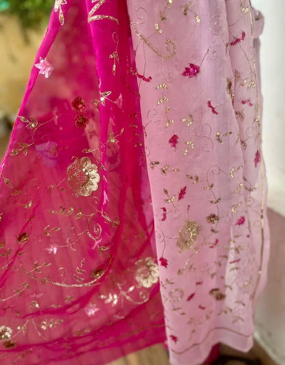 Ombre Pink Shaded Zari Sequins Jaal Saree