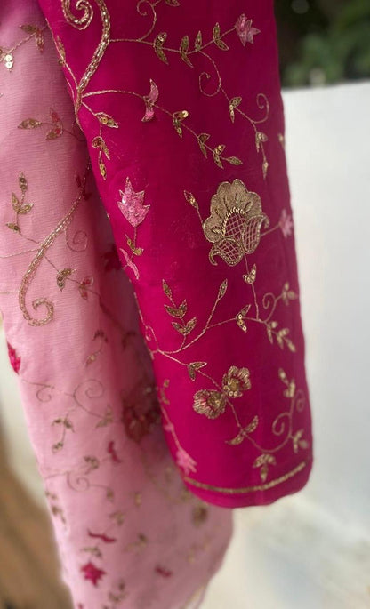 Ombre Pink Shaded Zari Sequins Jaal Saree