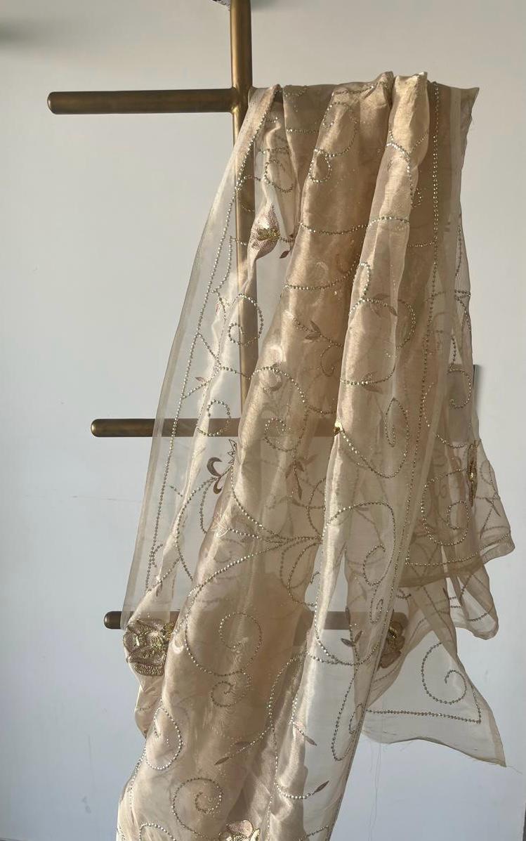 Golden Tissue Zari Zardoji Jaal Saree