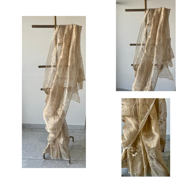 Golden Tissue Zari Zardoji Jaal Saree