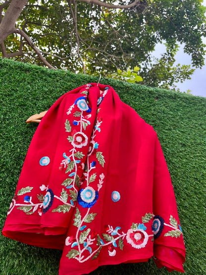 Red Sequins Border Saree