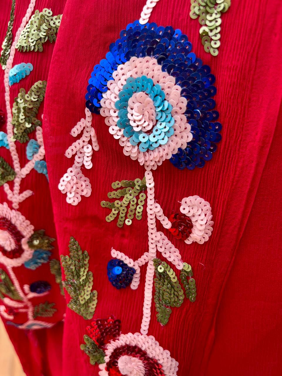 Red Sequins Border Saree
