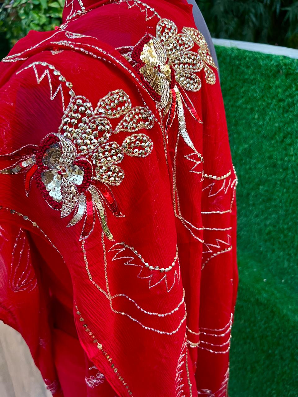 Red Zari Zardoji jaal Saree