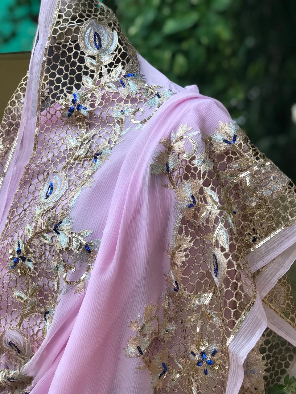 Baby pink Cutwork Border saree