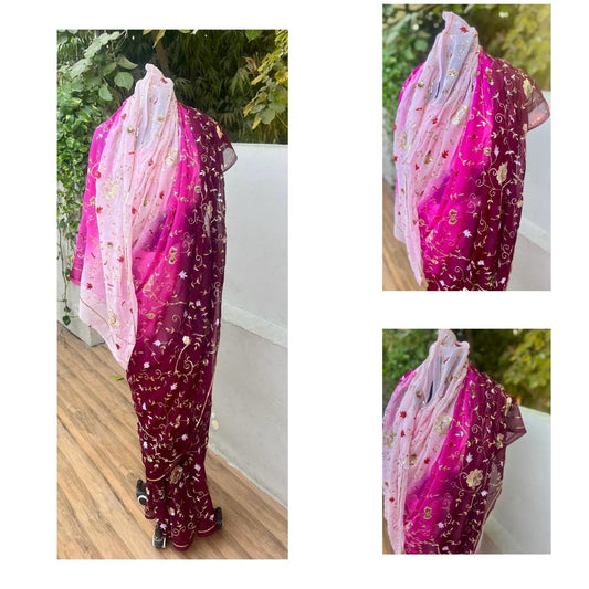 Ombre Pink Wine Sahded Zari Zardoji Jaal Saree