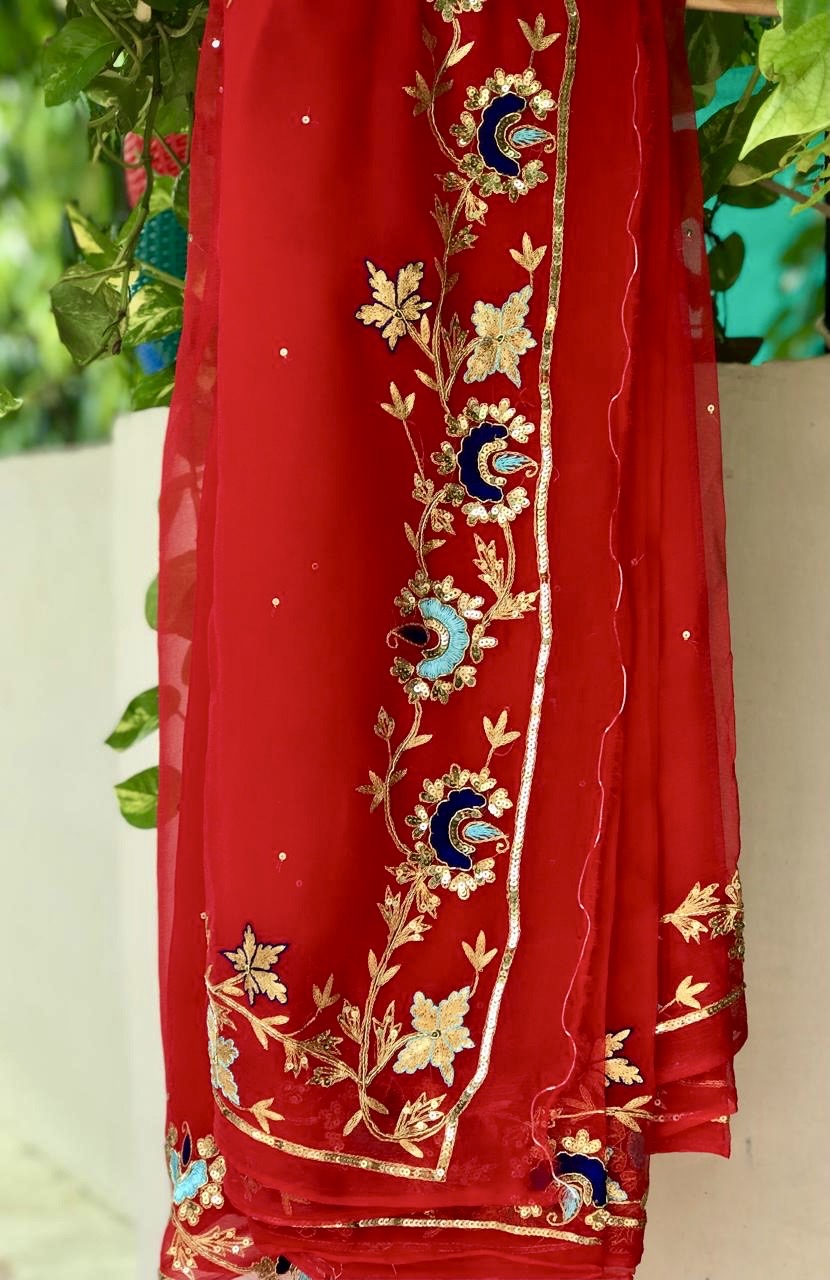 Red Zari Resham sequins Border saree
