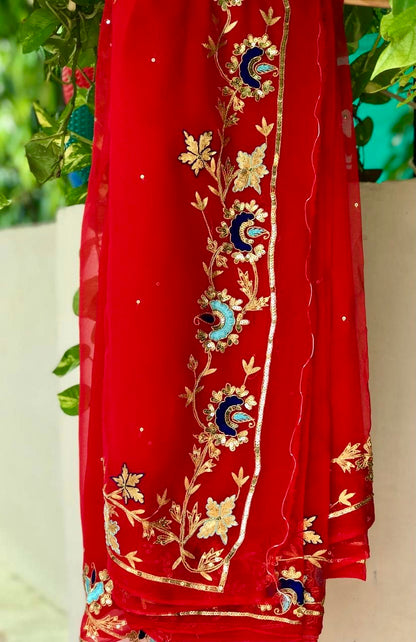 Red Zari Resham sequins Border saree