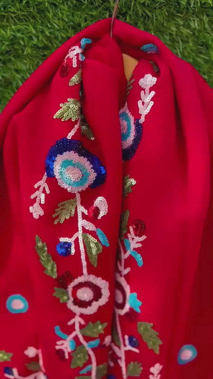Red Sequins Border Saree