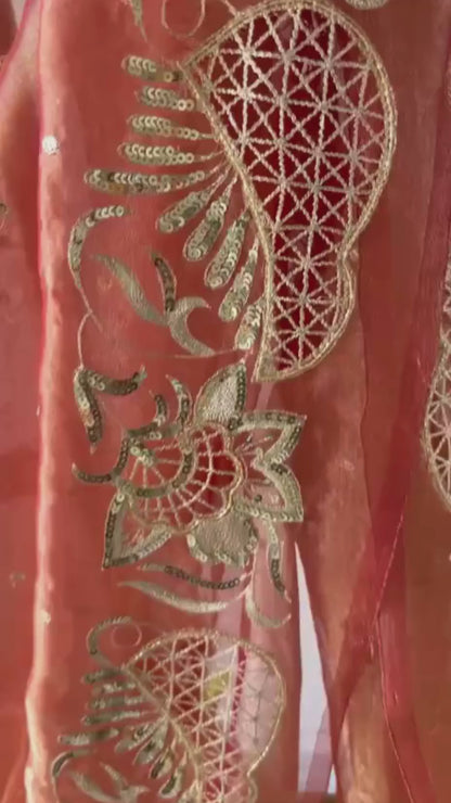 Silk Tissue Cutwork Border Saree