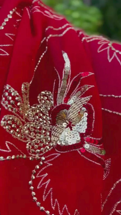 Red Zari Zardoji jaal Saree