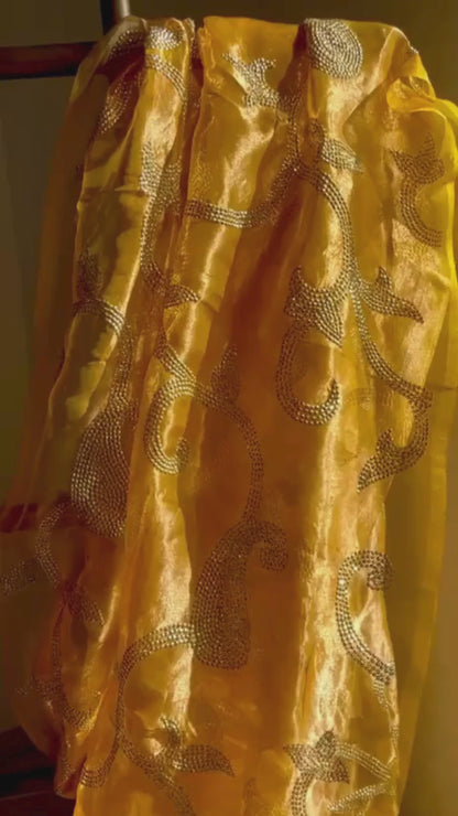 Silk Tissue Golden Sequins Jaal Saree